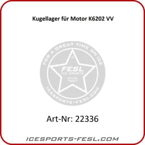 SSM Ball bearing 6202 VV