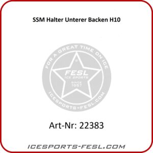 Lower Jaw Holder H10