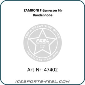 ZAMBONI Schraube für Fräsmesser (Bandenhobel)